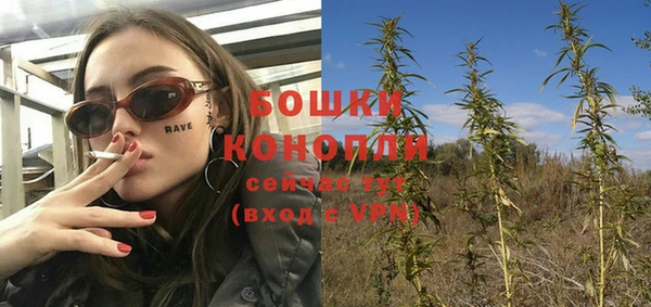 тгк Богданович