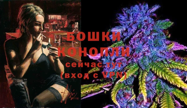 СК Богородицк